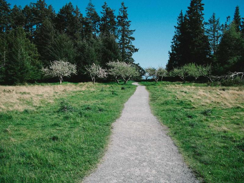 地铁2035<br>sybmuzg.cn 地下城求生记